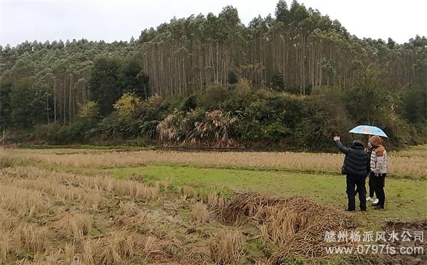 屯门区陈老师带着爱徒寻龙点穴